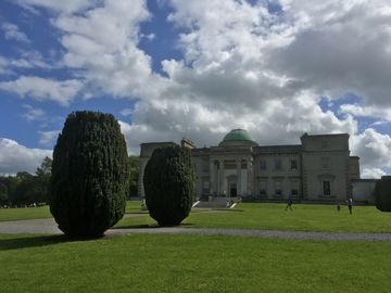 Donald Teskey – Still Life – 2019 -oil on canvas – 60 x 76 cm